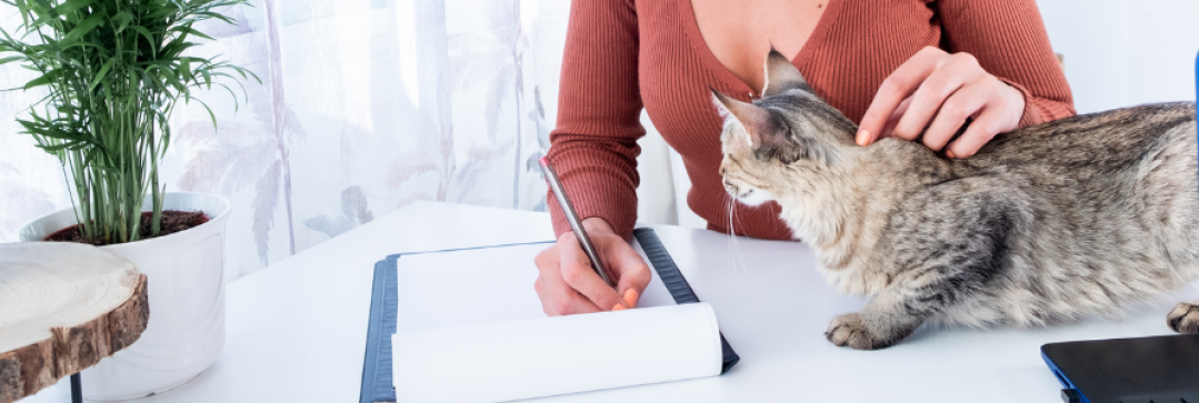 Estrategias de servicios: calidad y orientación al cliente