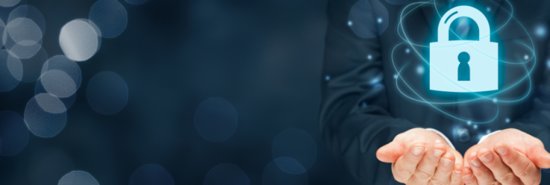 Ciberseguridad básica