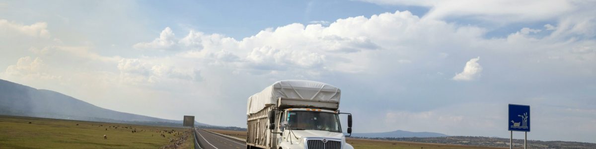 Tráfico de mercancías por carretera